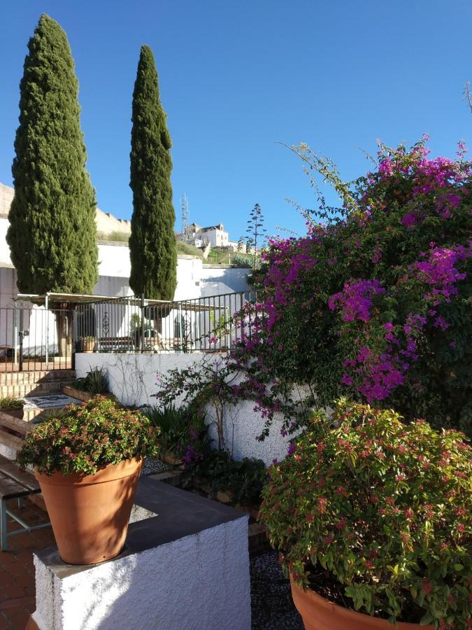 Cielo Del Albayzin Διαμέρισμα Γρανάδα Εξωτερικό φωτογραφία